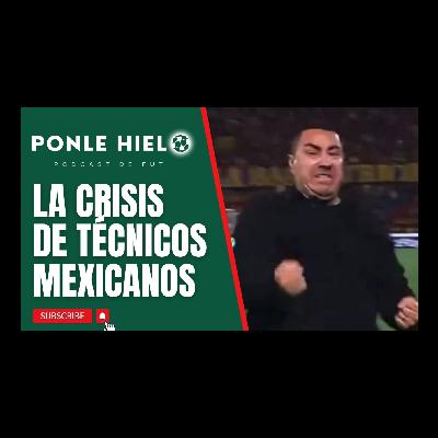 Crisis de Técnicos Mexicanos.