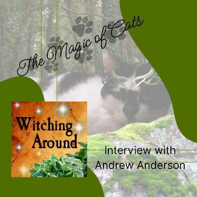 The Magic of Cats with Andrew Anderson