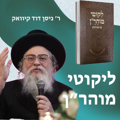 (12) Torah כג