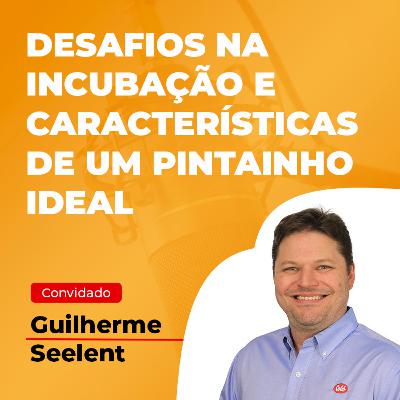Desafios na incubação e características de um pintainho ideal