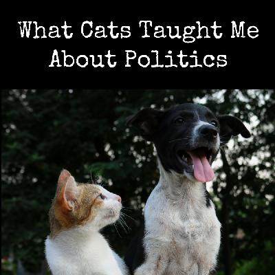 021 What Cats Taught Me About Politics 021 What Cats Taught Me About Politics