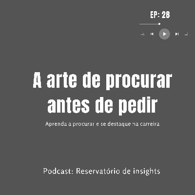 #28 A arte de procurar antes de pedir