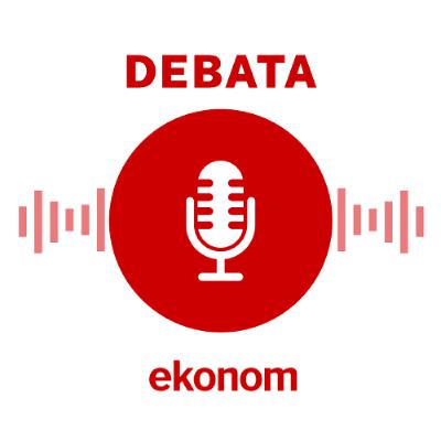 Češi renovují pohledem přes plot. Zbytečně jim kvůli tomu rostou účty