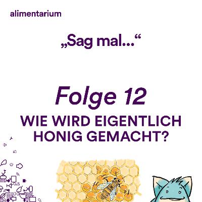 DEUTSCH - Wie wird eigentlich Honig gemacht?