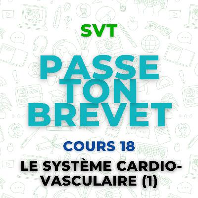 SVT 18 - le système cardio-vasculaire (Partie 1)