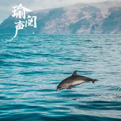 S01E12 由艺入道的修行 | DinDin