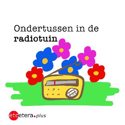 Radiotuin 161: Rituele dans van het muggenmannetje