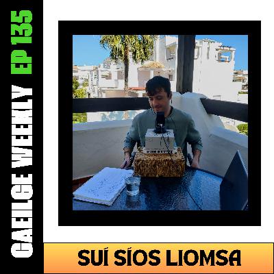 #135: Suí Síos Liomsa