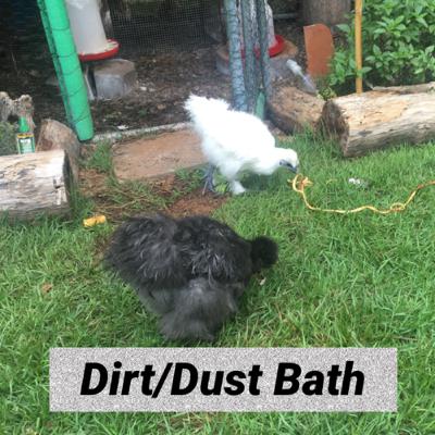 Dust/Dirt Baths