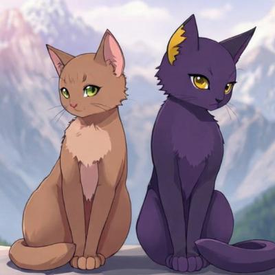 POP chapters 5 and 6