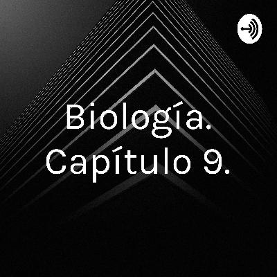 Capítulo 9.