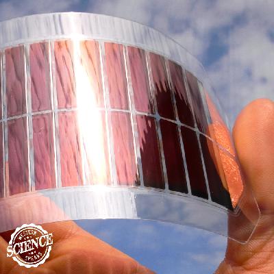 WSS S5E3: Can Metals Help Heal our World?