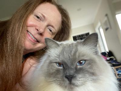 Discovering Neurodivergent Perimenopause: A Timeline