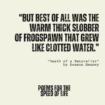S5, E2: "Death of a Naturalist" by Seamus Heaney
