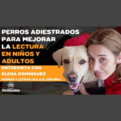 Perros adiestrados para mejorar la lectura en niños y adultos