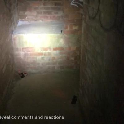 Let’s chat post investigation into Colby Grange