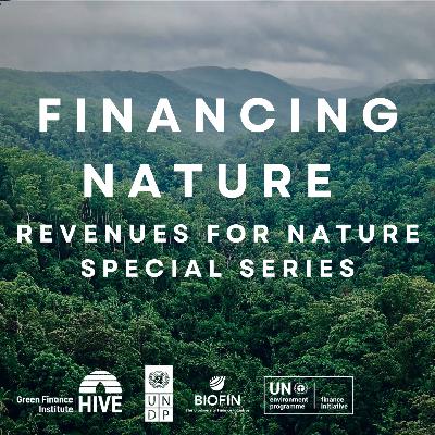 R4N Episode 2: Elizabeth Beall, Fisheries Improvement Fund