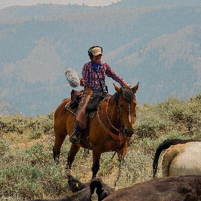 Working Cows, Rethinking Beef