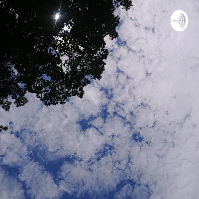 How to identify the EGO and connect to your higher self