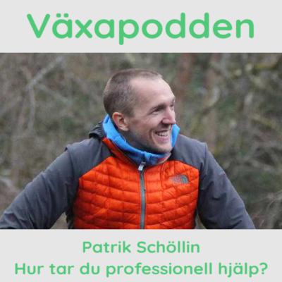 Patrik Schöllin - Hur tar du professionell hjälp? Patrik Schöllin - Hur tar du professionell hjälp?