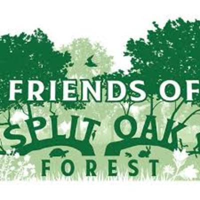Special Update: Valerie Anderson from Friends of Split Oak Forest