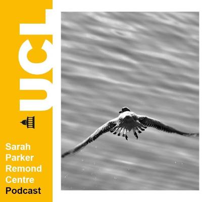 In Conversation with the SPRC: Movement, bodies and the question of race-making