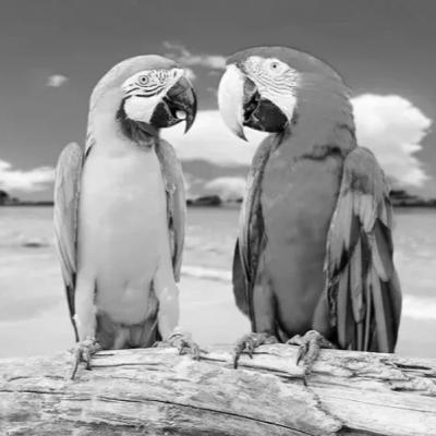 What to do with a Windfall