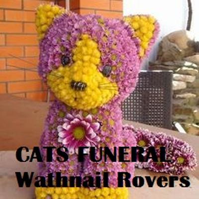 Cats Funeral