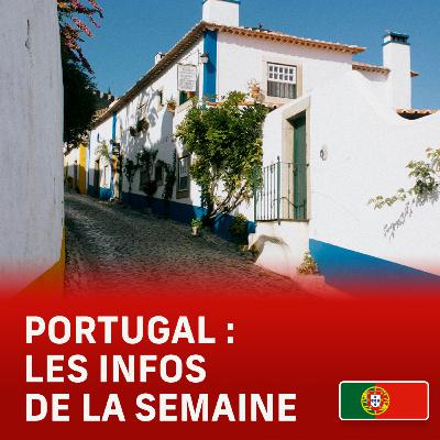 🇵🇹Les LOYERS au Portugal : les prix de 2025 viennent de tomber 🇵🇹Les LOYERS au Portugal : les prix de 2025 viennent de tomber