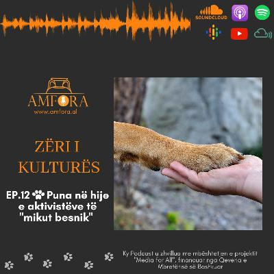 Puna në hije e aktivistëve të "mikut besnik" - “Zëri i Kulturës” / Ep. 12