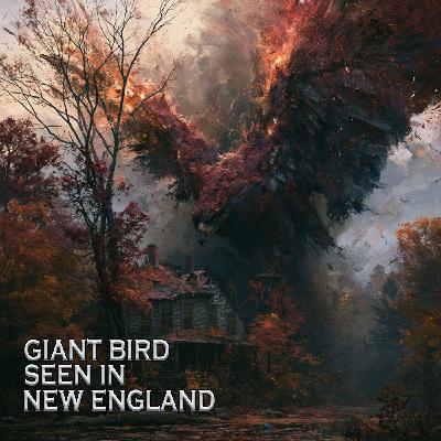 ThunderBirds in New England and Bigfoot Stories