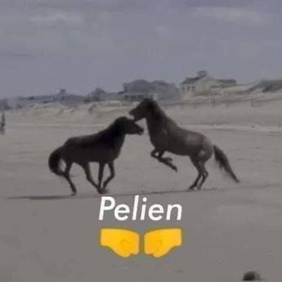 Pensando en el sofá de la desesperación. Ft. Armani Novella