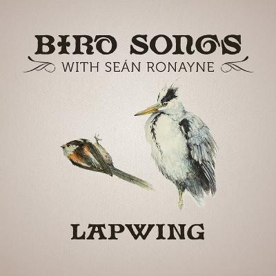 Lapwing | Bird Songs with Seán Ronayne Lapwing | Bird Songs with Seán Ronayne