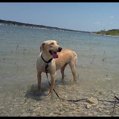 Grace Saved Me Grace Saved Me