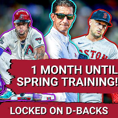 WHAT'S GOING ON WITH THE ARIZONA DIAMONDBACKS!? WHAT'S GOING ON WITH THE ARIZONA DIAMONDBACKS!?