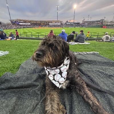 Season 2 Premier: The Cactus League