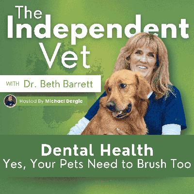 Pet Dental Health Pet Dental Health