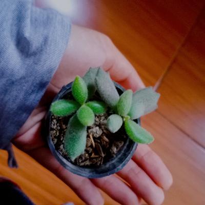 Mumbling of My Anxiety