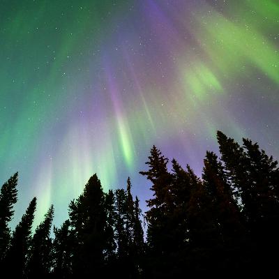 Northern Lights ~ Healing Ambient & Calming Crickets For Restorative Rest