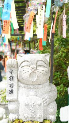 願ってますけど/nisai (オリジナル曲) from Radiotalk 願ってますけど/nisai (オリジナル曲) from Radiotalk