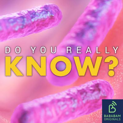 What is an endemic? What is an endemic?