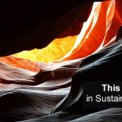 This Week in Sustainability - OMGaia! Carbon Growth Stalls, Trump Attacks Democracy and more