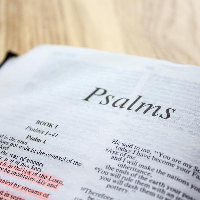 Introduction to the Psalms Introduction to the Psalms