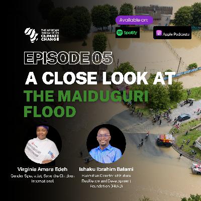 A Close Look at the Maiduguri flood