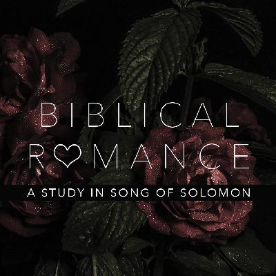 Biblical Romance: Foundations of Attraction