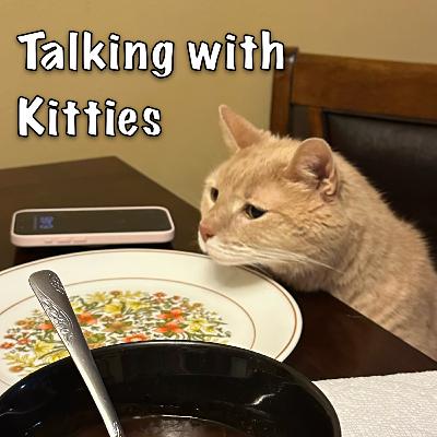 Hygge; Use Your Turn Signals Hygge; Use Your Turn Signals