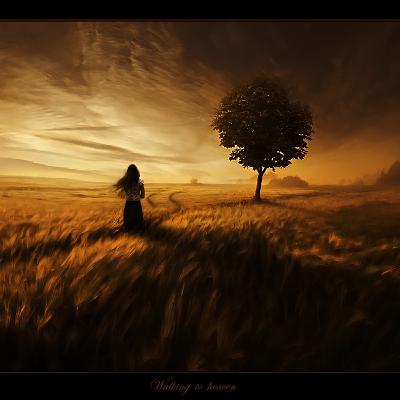 PROGRESSIONS VOL.4 DAVID DARKSUN PROGRESSIONS VOL.4 DAVID DARKSUN