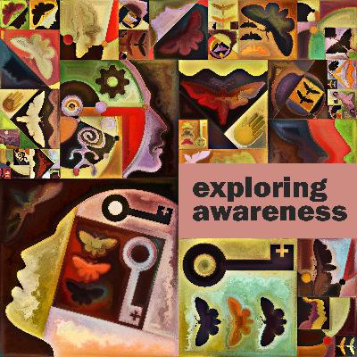 Episode 1: Why Exploring Awareness?
