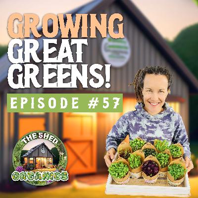#57 - Microgreens Made Simple | Paula Wiseman [Grow Wise Microgreens]