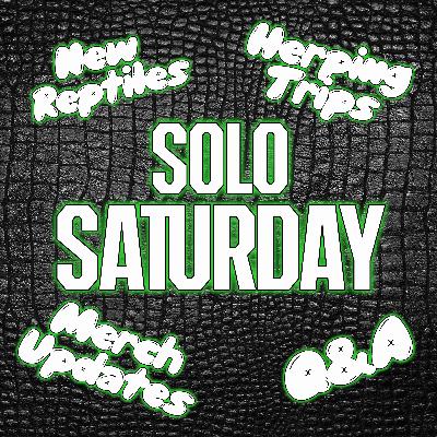 ReptiChat #Ep 59 - Solo Saturday! Happy New Year, updates and Q&A